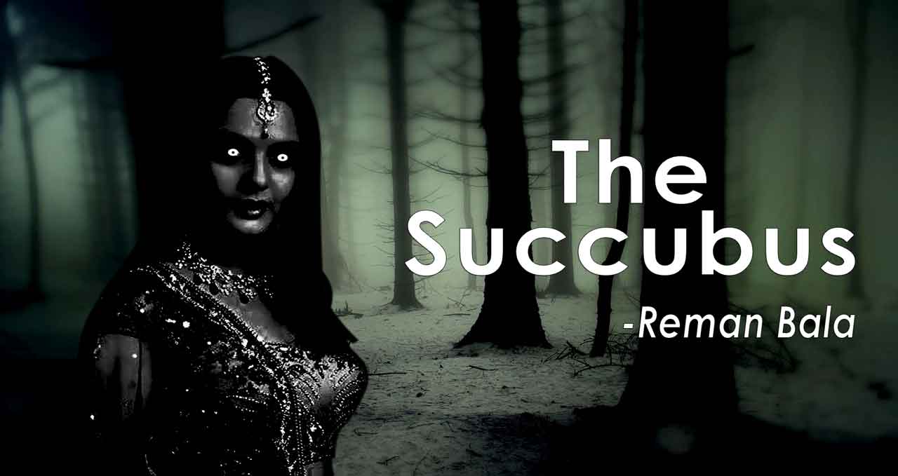 Read more about the article The Succubus